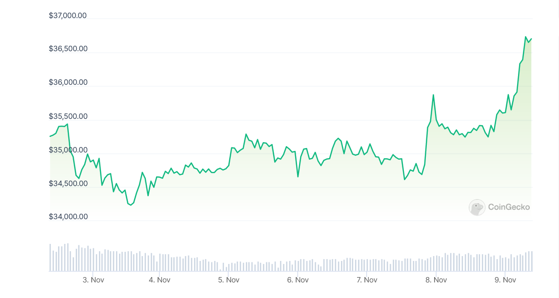 Diena kriptoje: BTC taiko į USD 37K, "Binance" "piniginė", rinką apgriovę veikėjai registruojasi Lietuvoje, prastos žinios iš Švedijos